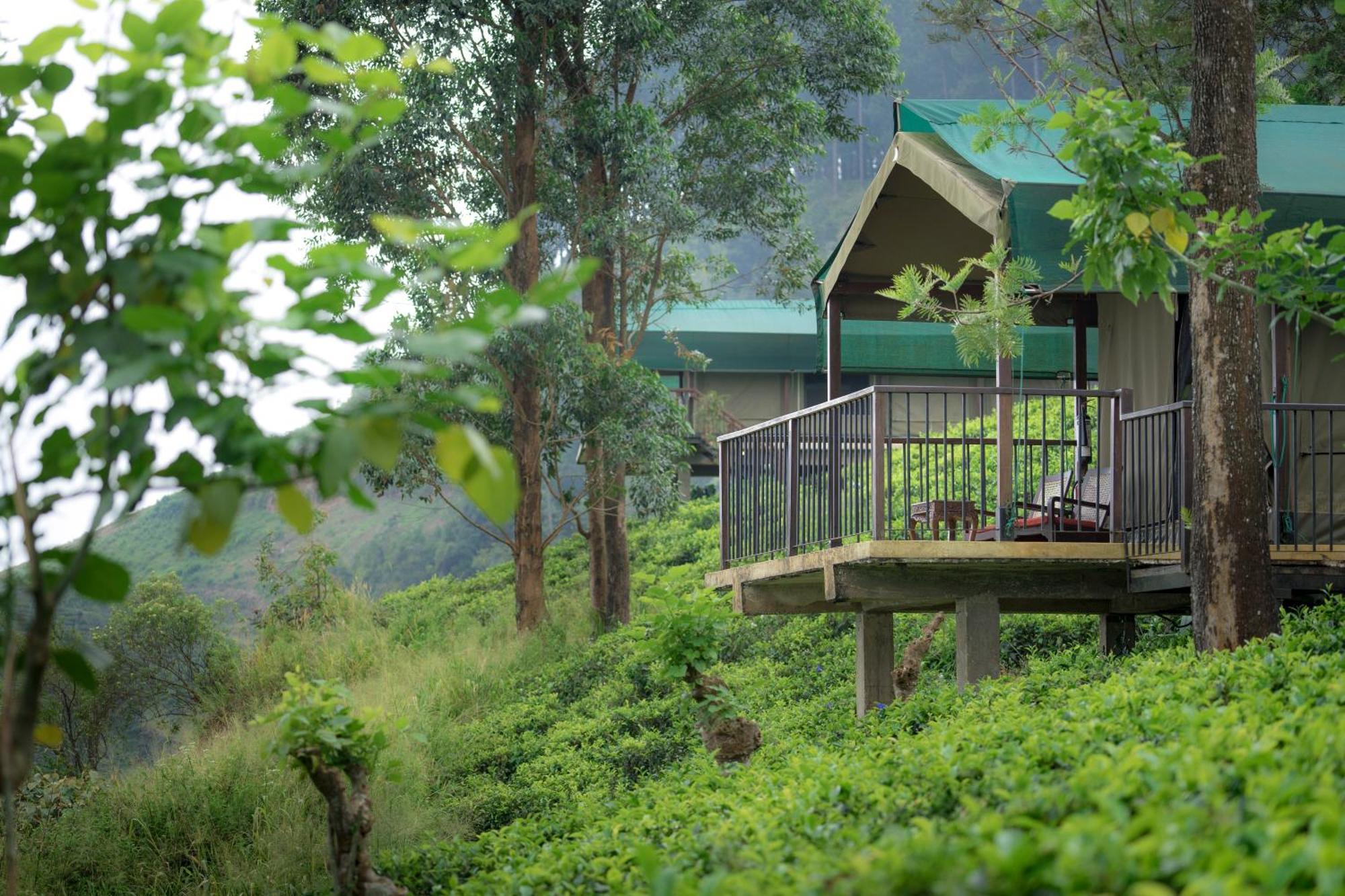 Madulkelle Tea And Eco Resort