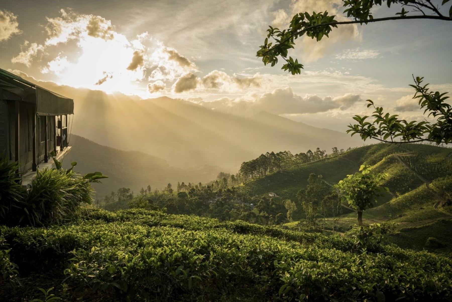 Resort Madulkelle Tea And Eco 5*