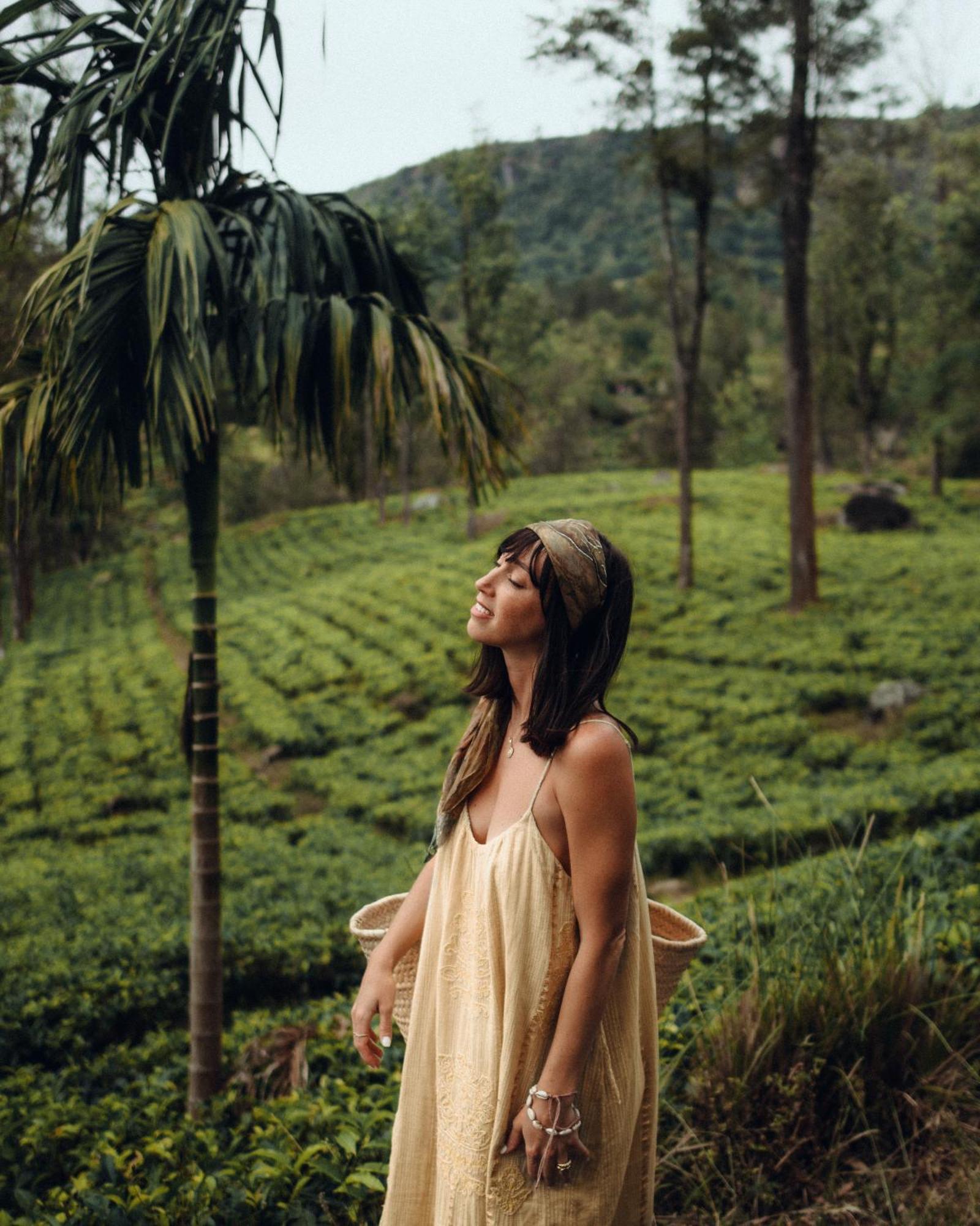 Madulkelle Tea And Eco Resort